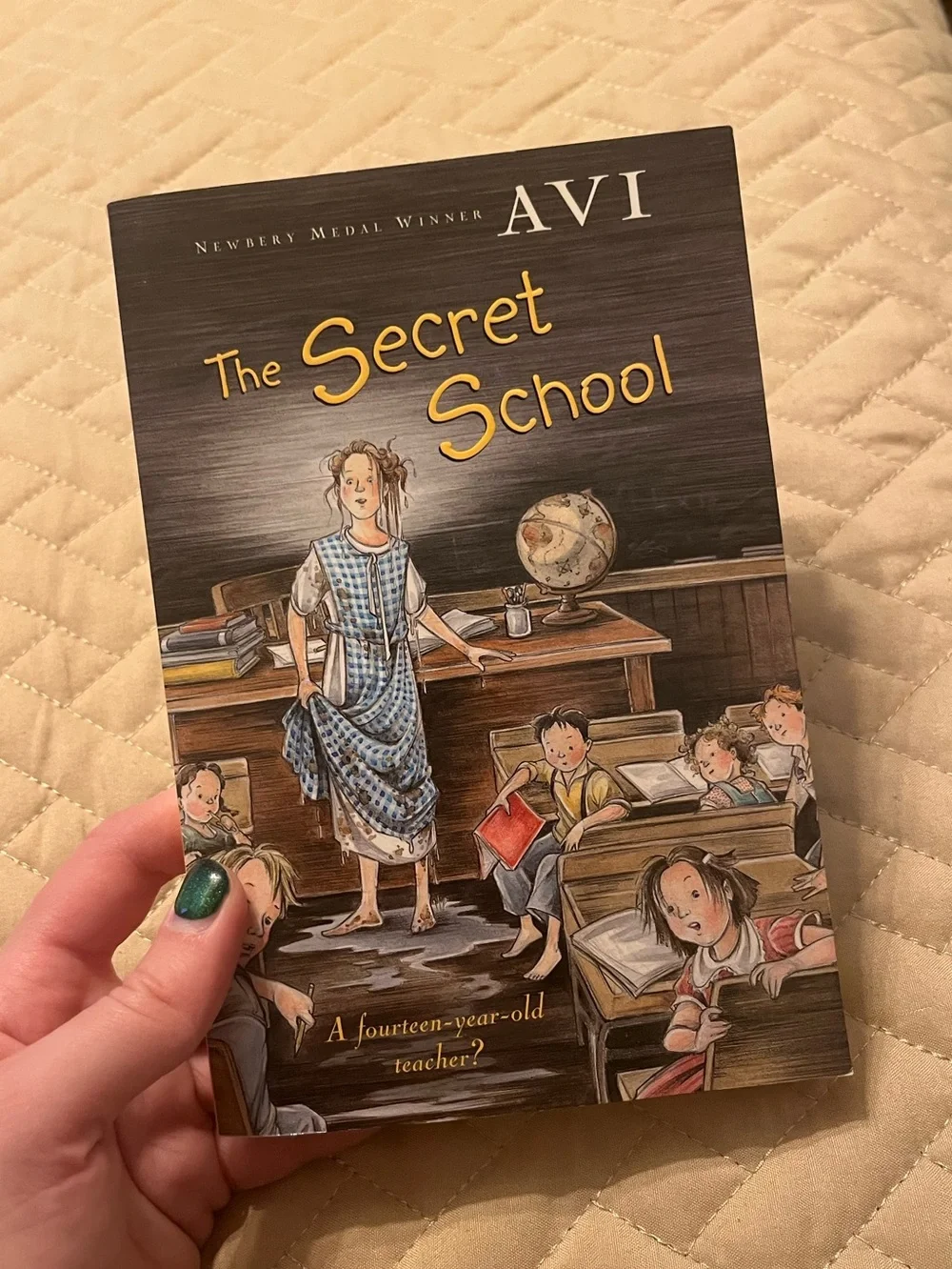 book bundle - college books and the secret school